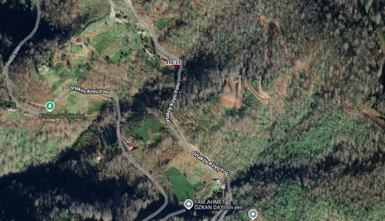 TRABZON SÜRMENE ORTAKÖY KÖYÜNDE 139 M² FINDIK BAHÇESİ SATILIKTIR. - TRABZON SÜRMENE fotoğraf 3